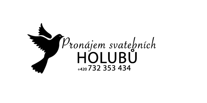 Pronájem svatebních holubů